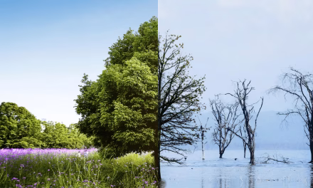 Perubahan Iklim Mempengaruhi Kebijakan Dari Ekonomi Global