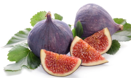 Kandungan Buah Tin Memiliki Banyak Senyawa Yang Bermanfaat