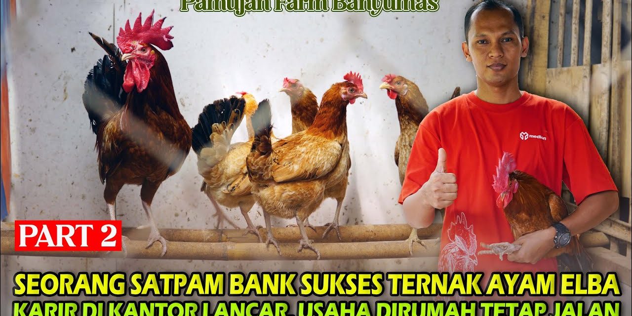 Mengenal SHIB: Meme Coin Kini Menjadi Ekosistem Kripto Baru