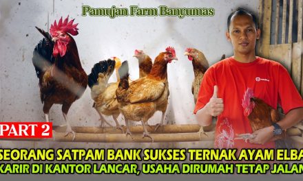 Mengenal SHIB: Meme Coin Kini Menjadi Ekosistem Kripto Baru