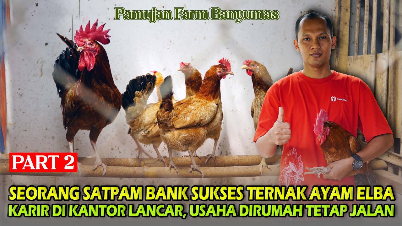 Mengenal SHIB