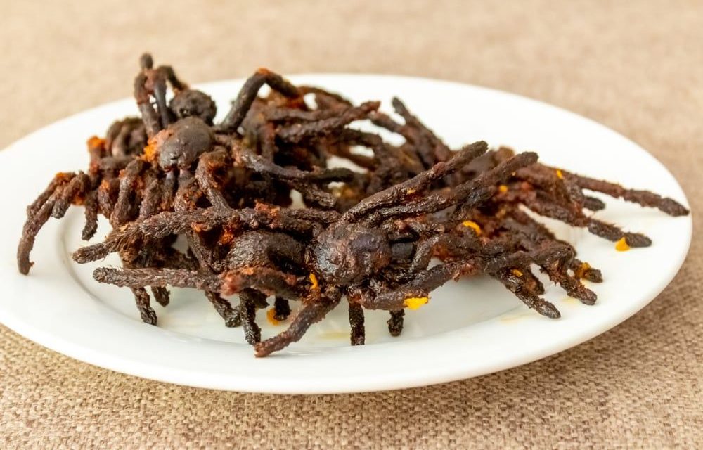 Tarantula Goreng Makanan Eksotis Yang Nikmat