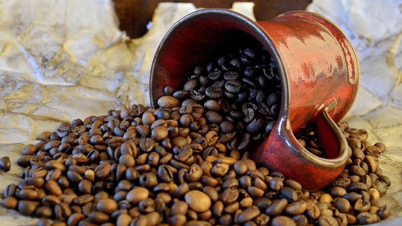 Ciri Khas Kopi Robusta, Rasa Kuat Yang Membekas Di Lidah